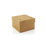 Primium Box L (100 Stk.)