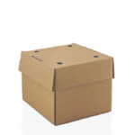 Falt Burger Box 120x120x100